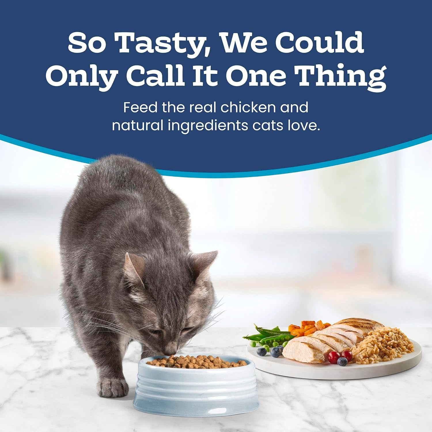 Sensitive Stomach Natural Adult Dry Cat Food, Chicken & Brown Rice